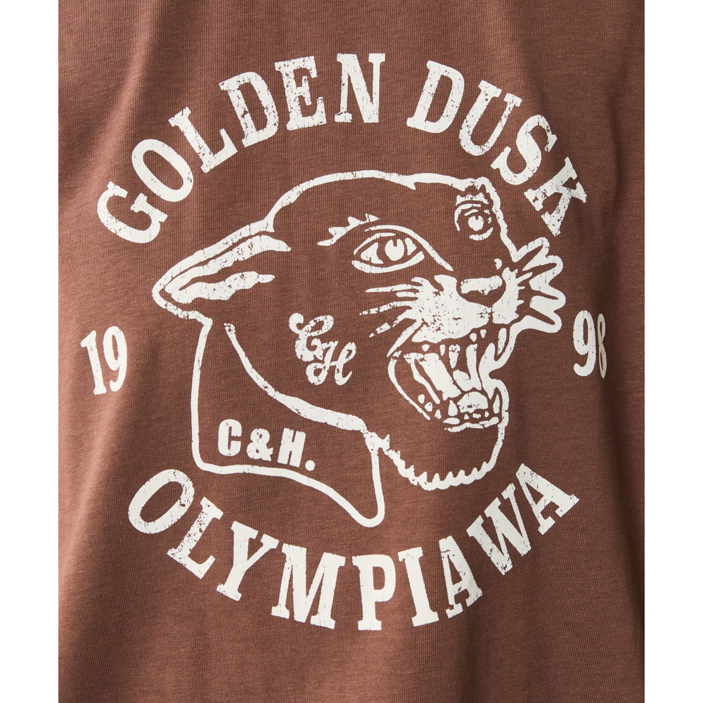 綿100%ピグメント染グラフィックプリントTシャツ 大きいサイズ シックスタイル14