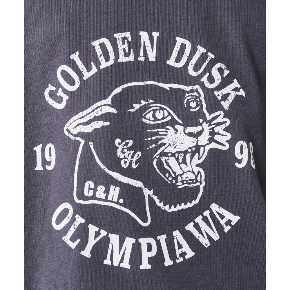 綿100%ピグメント染グラフィックプリントTシャツ 大きいサイズ シックスタイル16