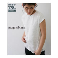 【トールサイズ】カットジャガードフレンチスリーブブラウス　muguet blanc　（高身長）