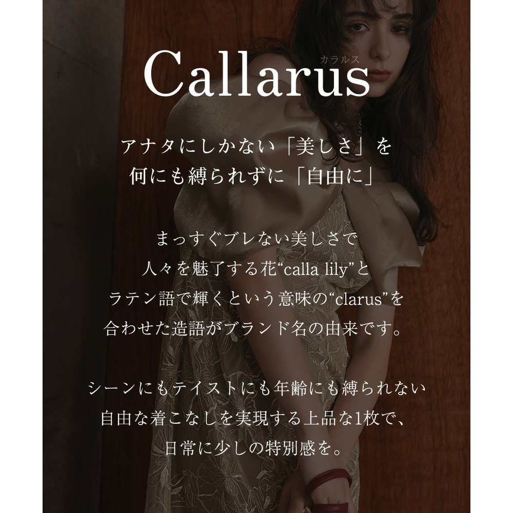 【お呼ばれ・よそいき・結婚式・パーティー・オケージョンドレス】メタリックボイルオーガンジーオフショルダーデザイン刺繍ワンピースドレス 大きいサイズ Callarus2