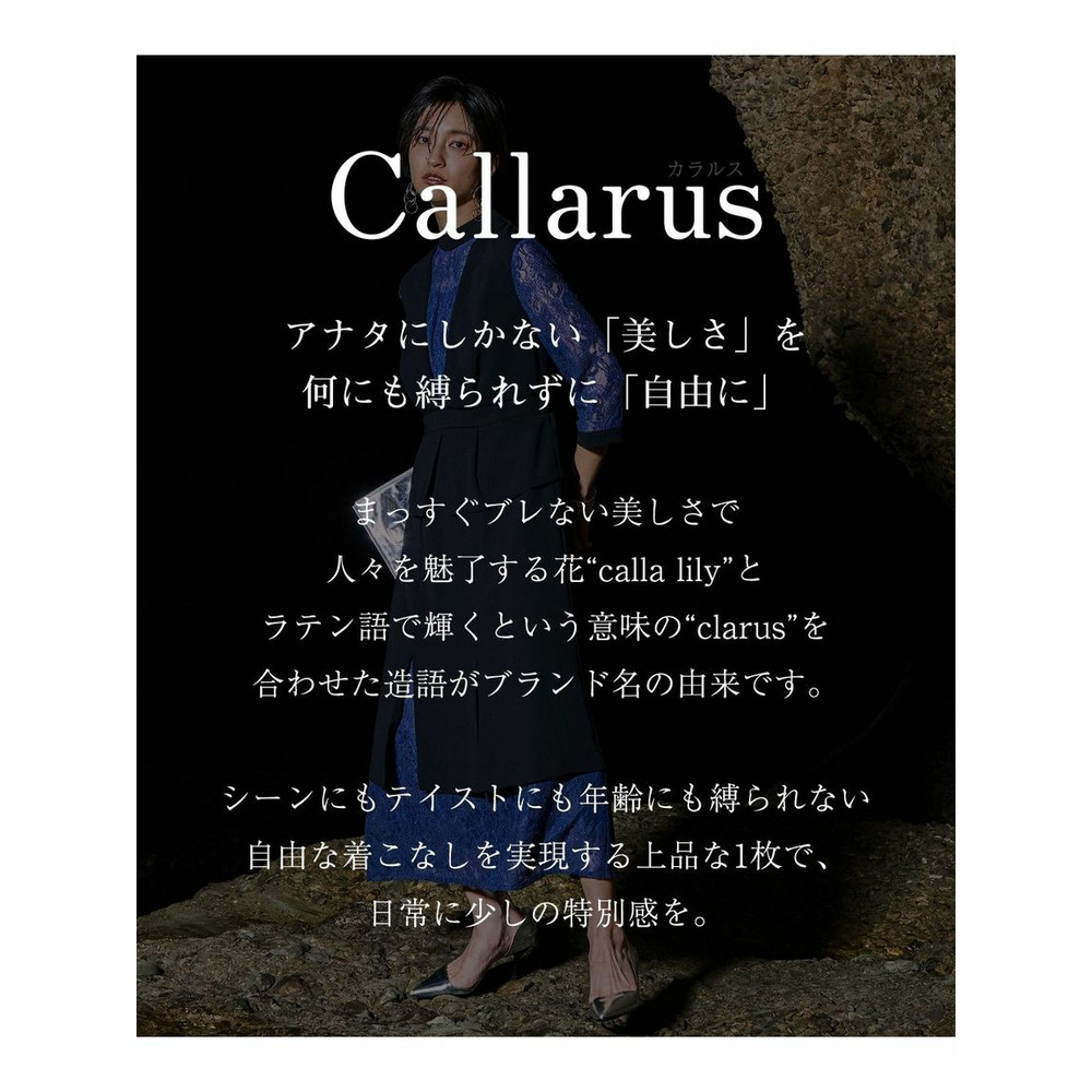 【大きいサイズ / 結婚式・パーティードレス】レース切替ワンピースドレス（Callarus）2