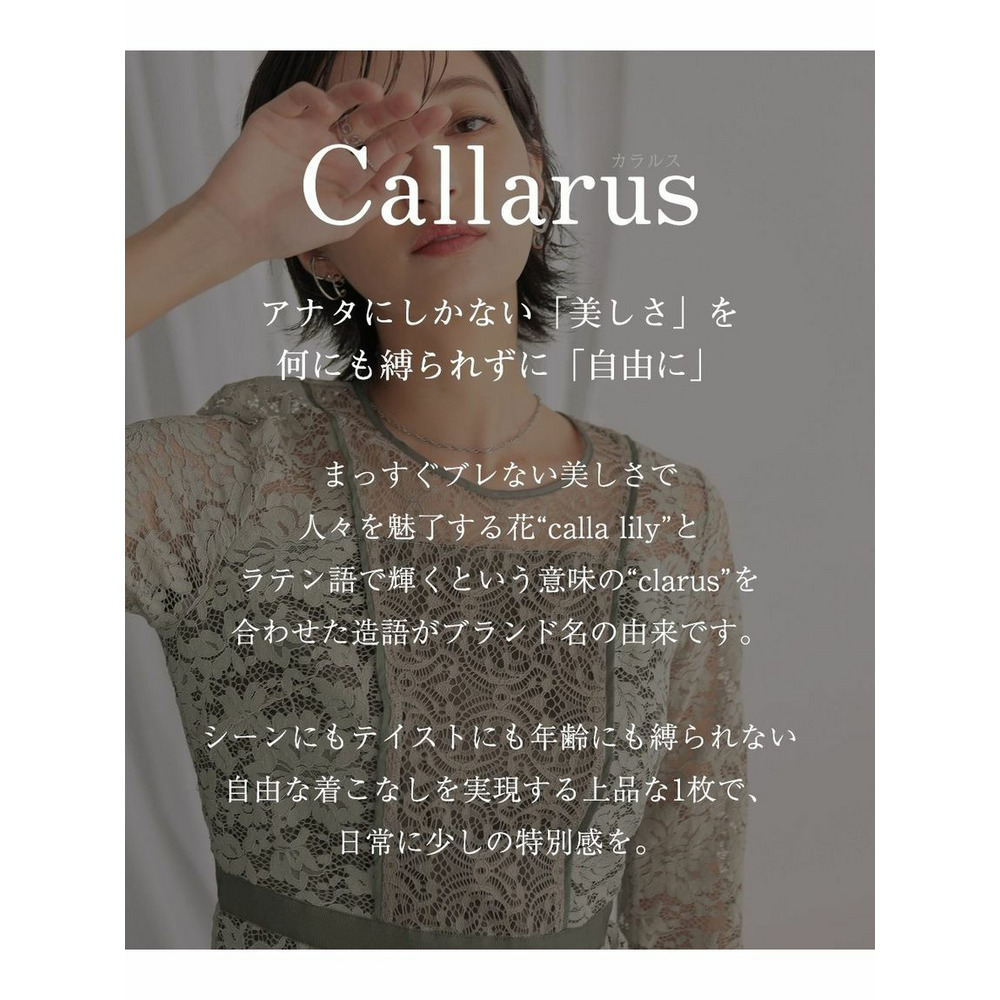 【大きいサイズ / 結婚式・パーティードレス】＜Callarus＞パネルレースワンピースドレス2