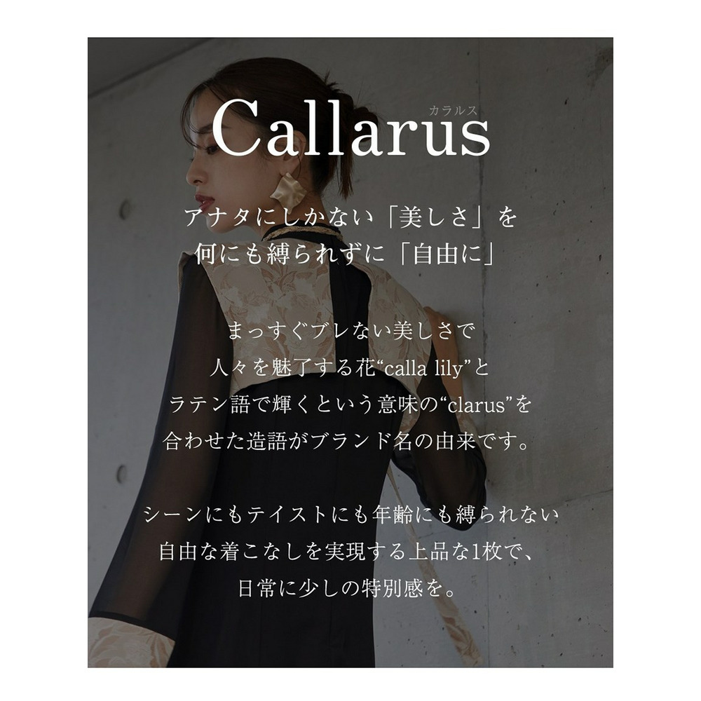 【結婚式・パーティー・オケージョンドレス】＜Callarus＞Switching  Jacquard Lace Onepiece Dress（ジャガードレース切替ワンピースドレス）2