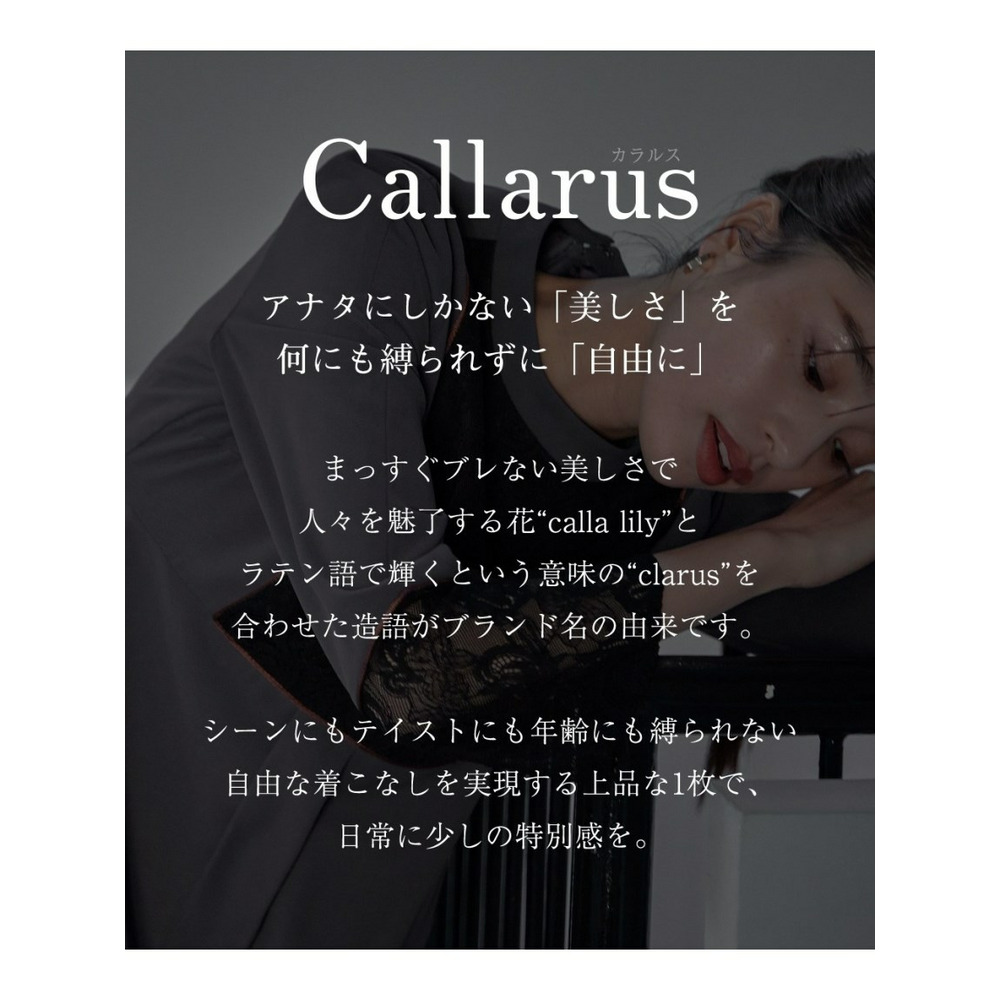 【大きいサイズ】【結婚式・パーティー・オケージョンドレス】＜Callarus＞Front Switching Lace Piping Design Onepiece Dress2