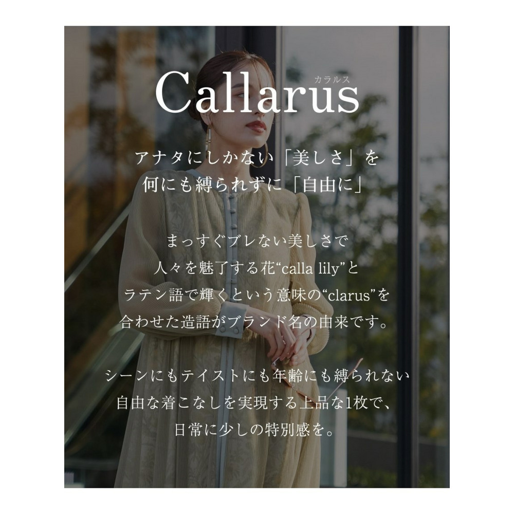 【大きいサイズ】【結婚式・パーティー・オケージョンドレス】＜Callarus＞Flower Printed Tulle Onepiece Dress2