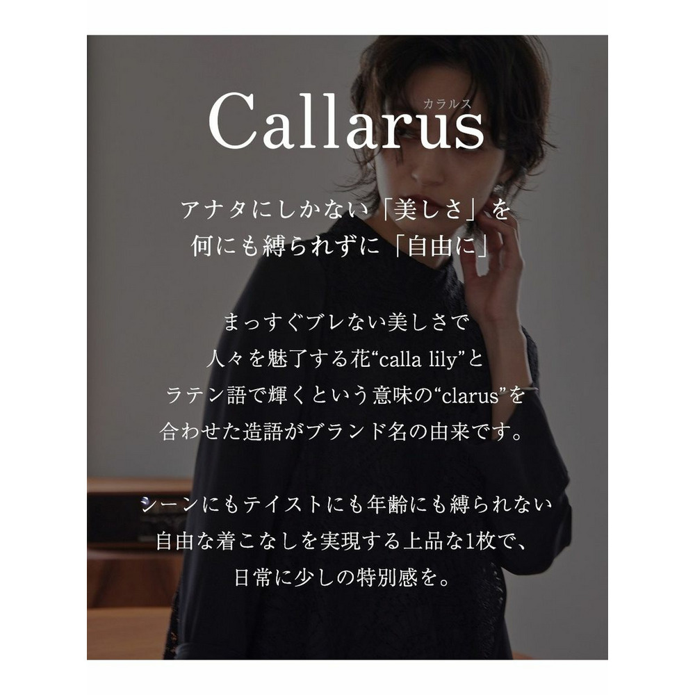 【大きいサイズ / 結婚式・パーティー・オケージョンドレス】スタンドカラーアシメデザインワンピースドレス（Callarus）2