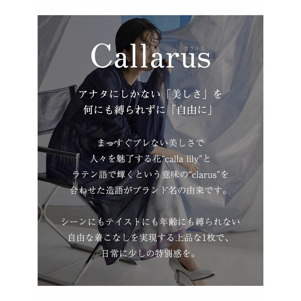 【大きいサイズ / 結婚式・パーティー・オケージョンドレス】プリント重ねシフォンプリーツデザインワンピースドレス（Callarus）2