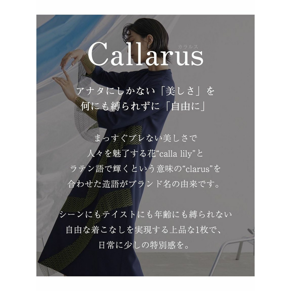 【大きいサイズ / 結婚式・パーティー・オケージョンドレス】アシメメッシュデザインワンピースドレス（Callarus）2