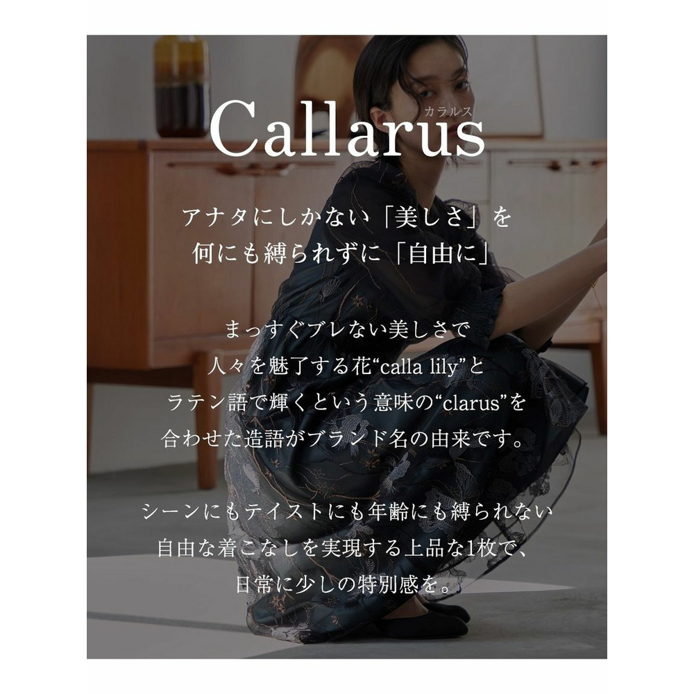 【大きいサイズ / 結婚式・パーティー・オケージョンドレス】Vネック刺繍レースワンピースドレス（Callarus）2