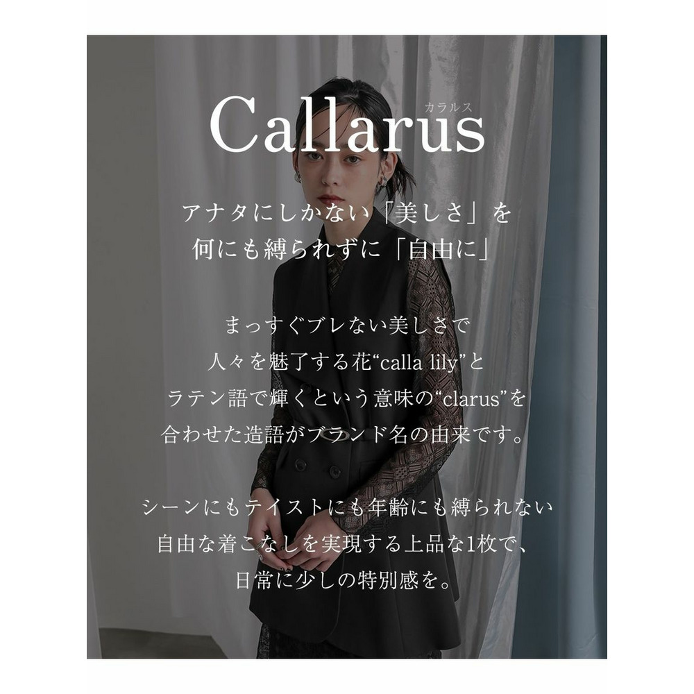 【大きいサイズ / 結婚式・パーティー・オケージョンドレス】デザインジレ＋総レーススタンドカラーワンピースドレス（Callarus）2