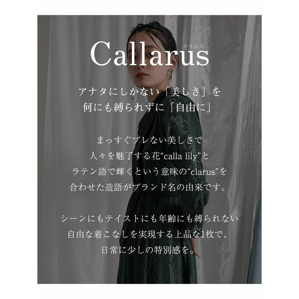 【大きいサイズ / 結婚式・パーティー・オケージョンドレス】起毛レース使いアシメジレデザインワンピースドレス（Callarus）2