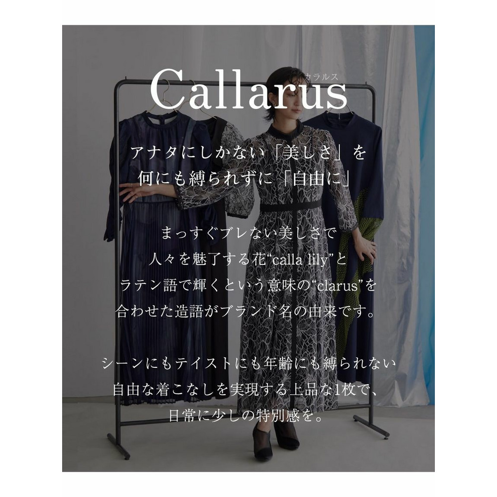 【大きいサイズ / 結婚式・パーティー・オケージョンドレス】スタンドカラーウエスト切替総レースワンピースドレス（Callarus）2