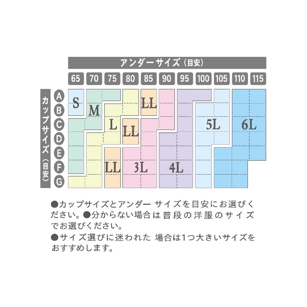 デザインジニエブラ　3枚セット11