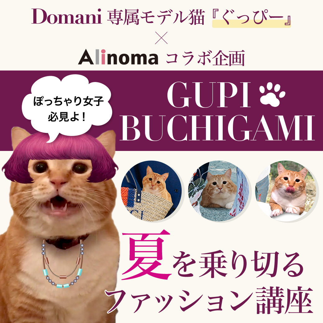 Domani専属モデル猫「ぐっぴー」×アリノマ コラボ企画