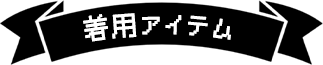 着用アイテム